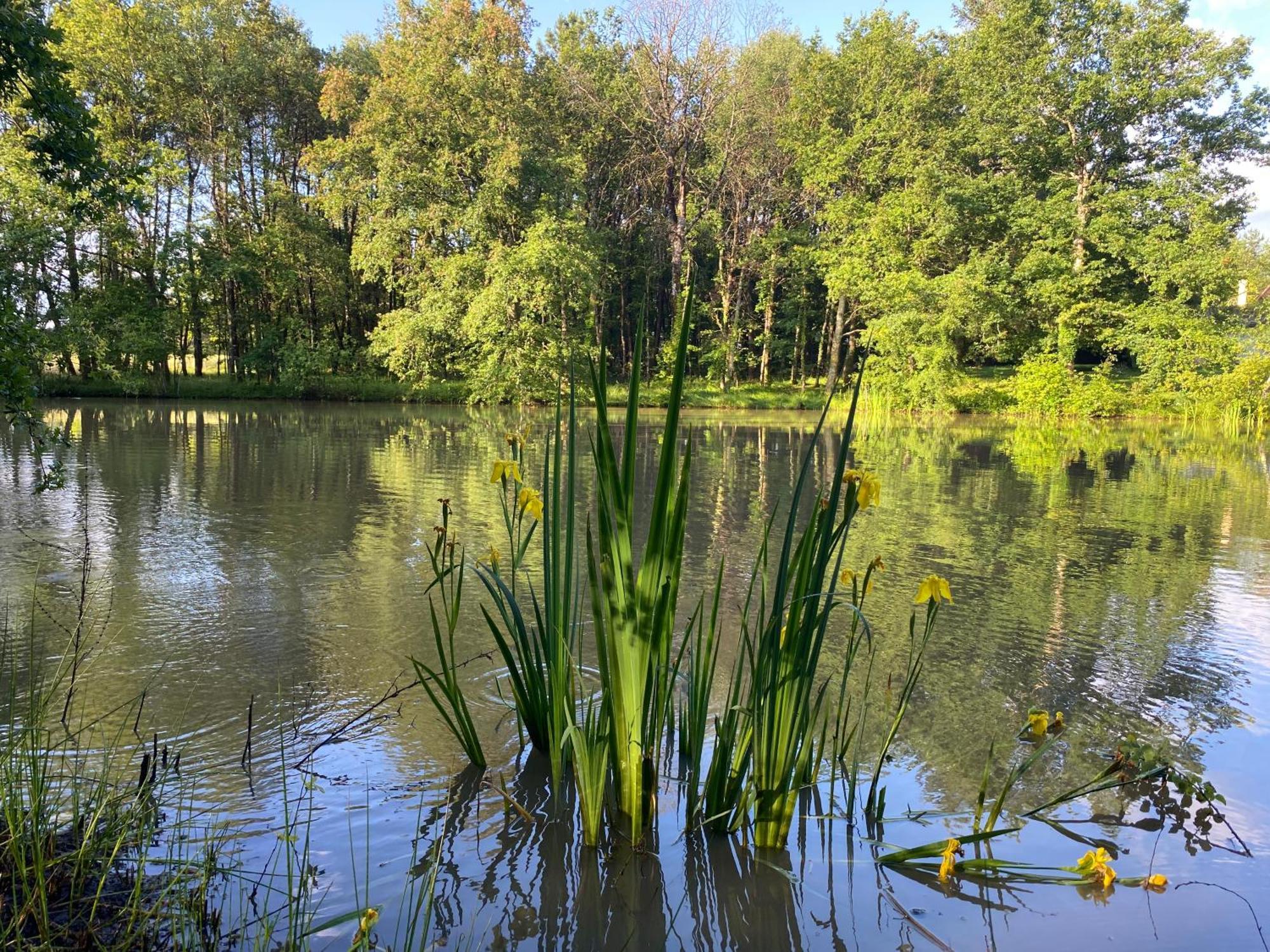 Bed and Breakfast Domaine De Lithos Fossemagne Zewnętrze zdjęcie
